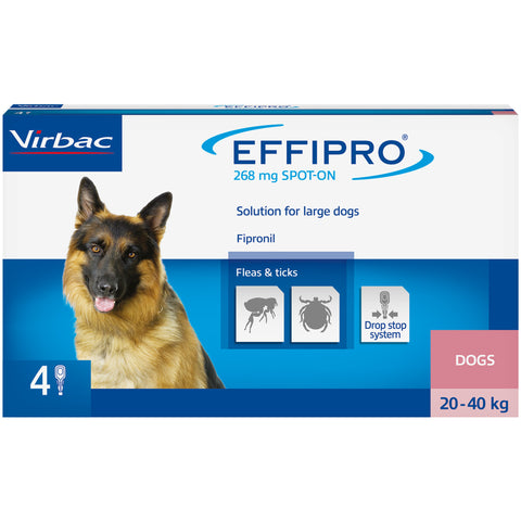 Effipro spot on for dogs - 4 pipettes