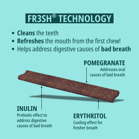 VeggieDent® FR3SH™ Dental Chews for Dogs