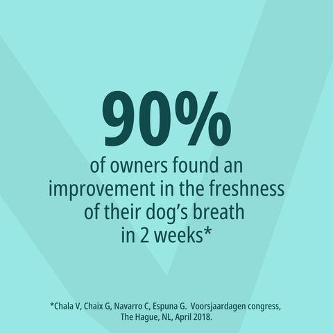 VeggieDent® FR3SH™ Dental Chews for Dogs