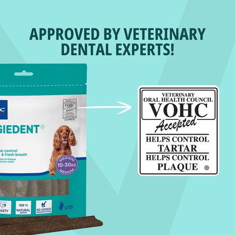 VeggieDent® FR3SH™ Dental Chews for Dogs