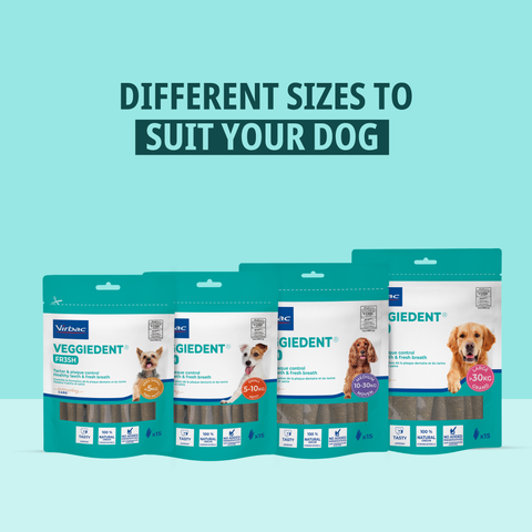 VeggieDent® FR3SH™ Dental Chews for Dogs