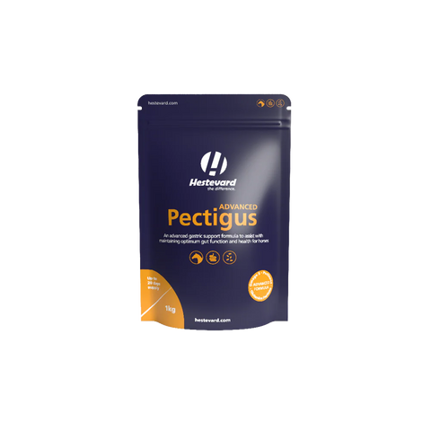 Hestevard Pectigus Advanced 1kg