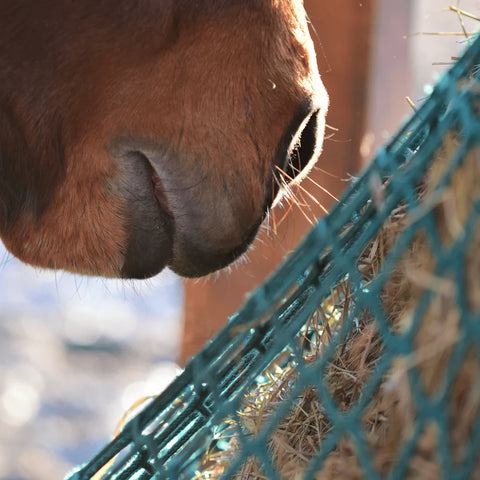 Haygain Non Shrinking Hay Net - Large