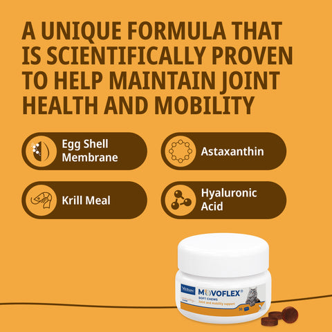 Movoflex Joint and Mobility Supplement Soft Chews for Cats