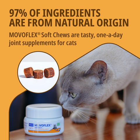 Movoflex Joint and Mobility Supplement Soft Chews for Cats
