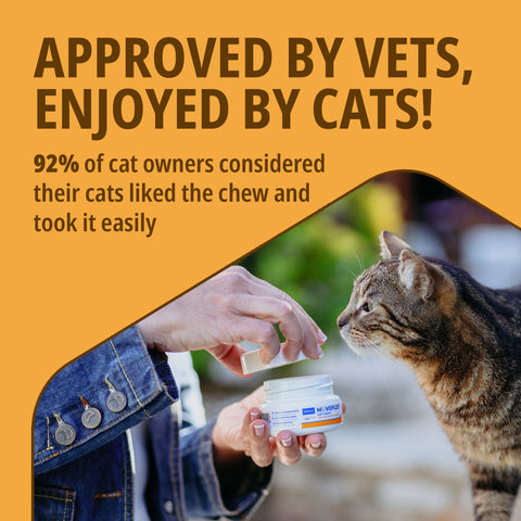 Movoflex Joint and Mobility Supplement Soft Chews for Cats