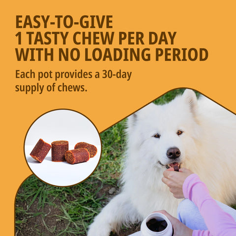 Movoflex Large Dog (35kg+) Soft Chews x 30