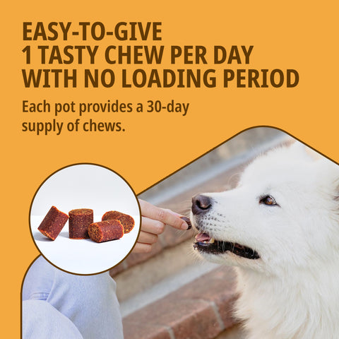Movoflex Medium Dog (15kg-35kg) Soft Chews x 30