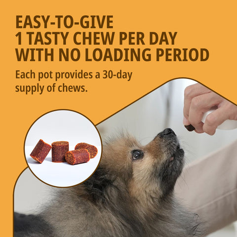 Movoflex Small Dog (>15kg) Soft Chews x 30