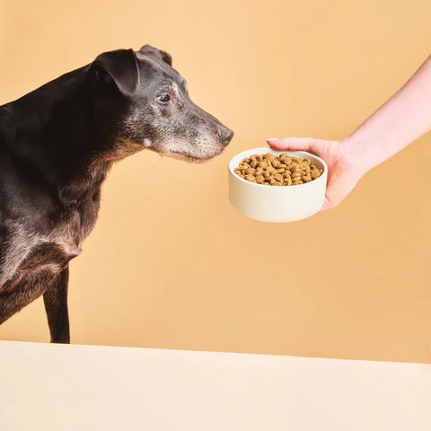 Calibra Veterinary Diet Ultra-Hypoallergenic Insect Protein Dry Dog Food