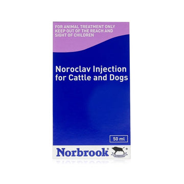 Noroclav Injection – VetMedi.co.uk