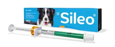Sileo 0.1mg/ml Oromucosal Gel for Dogs - 3ml Syringe