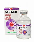 Xylapan Injection for Horses, Cattle, Dogs & Cats 50ml