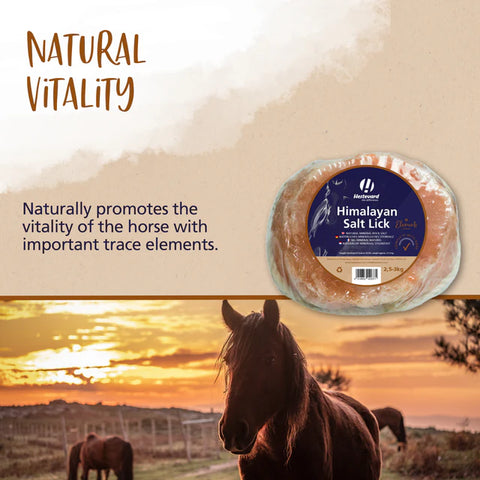 Hestevard Himalayan Salt Lick 2.5kg - 3kg