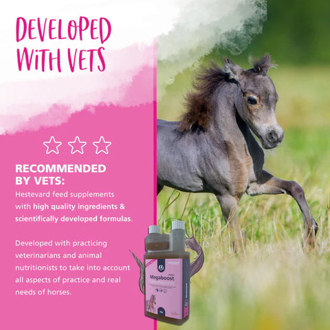 Hestevard MegaBoost 4 Foals