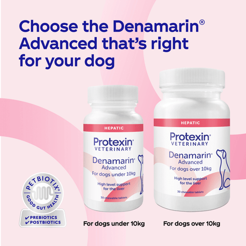 Protexin Denamarin Advanced Tablets for Dogs x 30