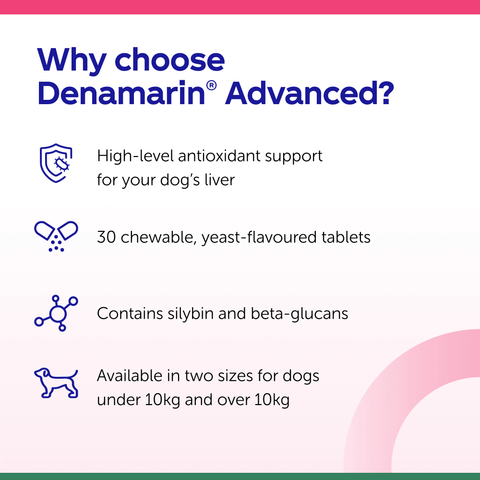 Protexin Denamarin Advanced Tablets for Dogs x 30