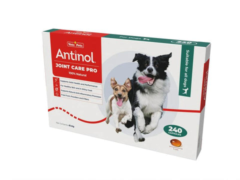 Antinol Joint Care Pro for Dogs