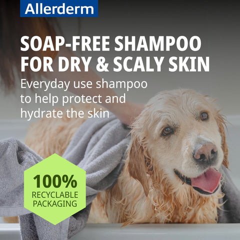 Allerderm Shampoo Dry and Scaly 250ml