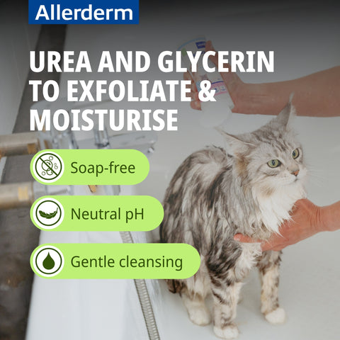 Allerderm Shampoo Dry and Scaly 250ml