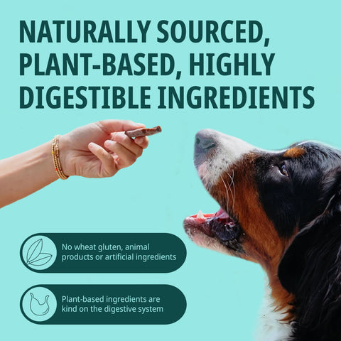 VeggieDent® FR3SH™ Dental Chews for Dogs