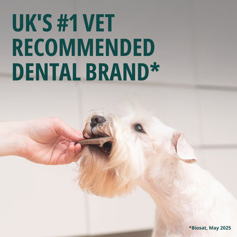 VeggieDent® FR3SH™ Dental Chews for Dogs