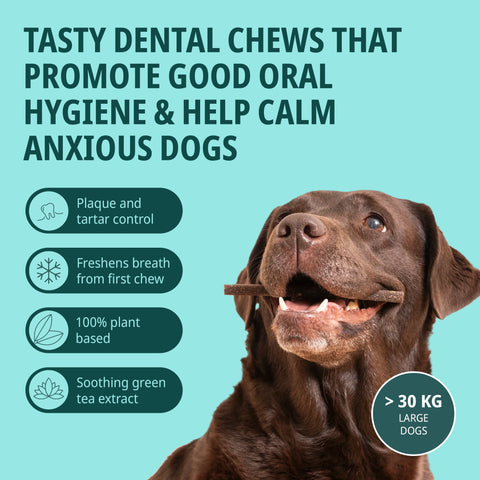 VeggieDent® Zen Dental Chews for Dogs