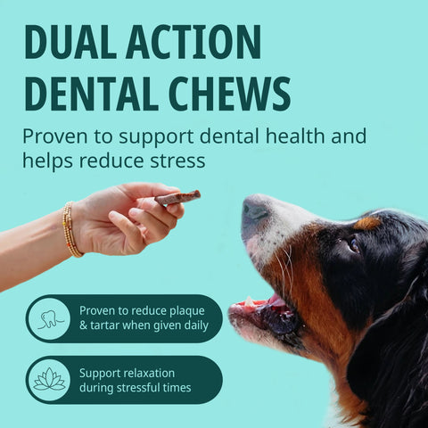 VeggieDent® Zen Dental Chews for Dogs
