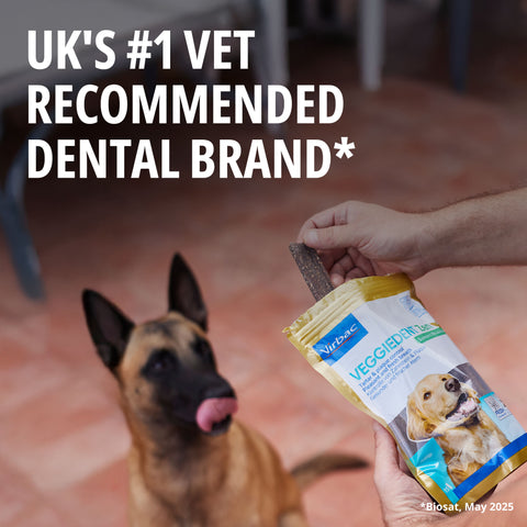 VeggieDent® Zen Dental Chews for Dogs