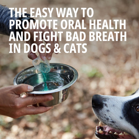 Vet Aquadent Water Additive for Dogs and Cats