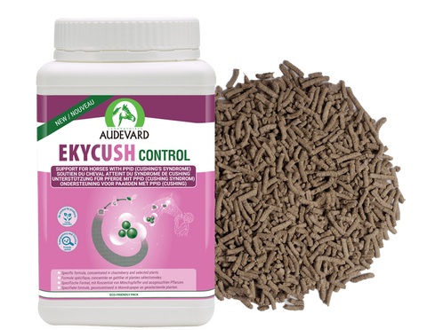 Audevard Ekycush