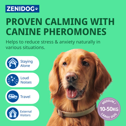 Zenidog Calming Collar