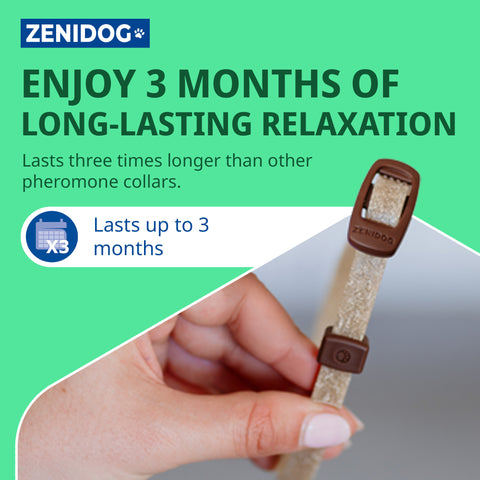 Zenidog Calming Collar