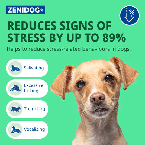Zenidog Calming Collar