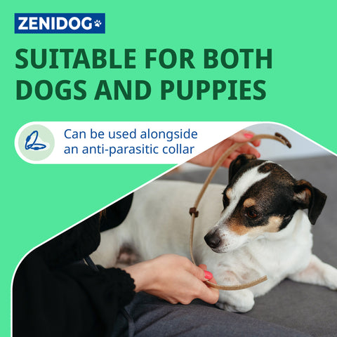 Zenidog Calming Collar