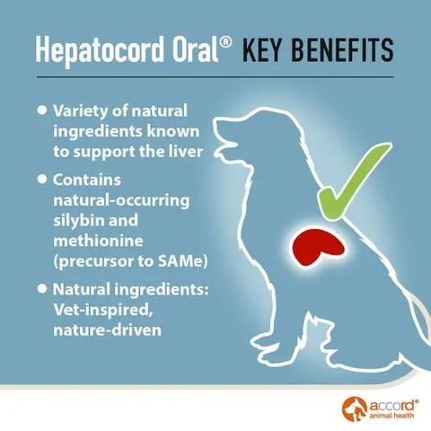 Hepatocord Oral