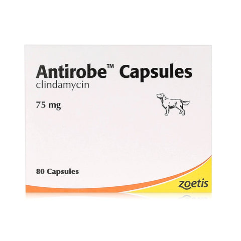 Antirobe Capsules (per tablet)