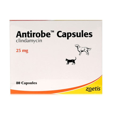 Antirobe Capsules (per tablet)
