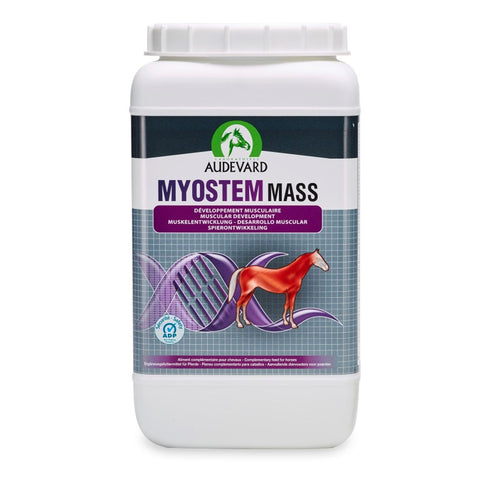 Audevard Myostem Mass - Muscular Development Support For Horses
