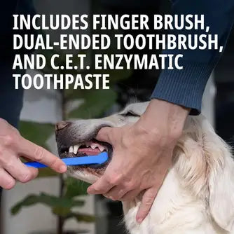 Oral Hygiene Toothpaste & Toothbrush Kit for Dogs