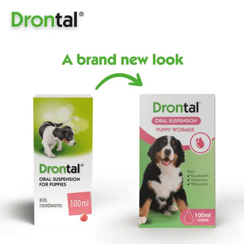 Drontal Puppy Suspension