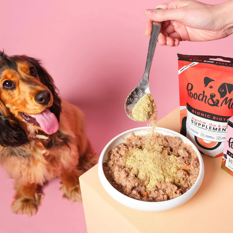 Pooch & Mutt Bionic Biotic Concentrate 200g