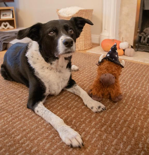 Casper Cow Halloween Dog Toy