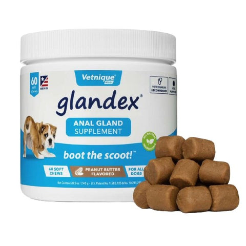 Glandex® Anal Gland Support Peanut Butter Soft Chews for Dogs