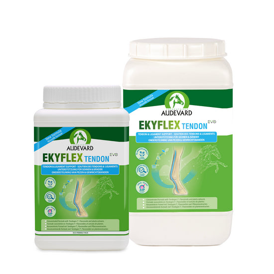 Ekyflex Tendon Evo Nutrition & Tendon Support Horses