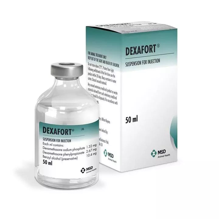 Dexafort Injection 3mg ml Bottle