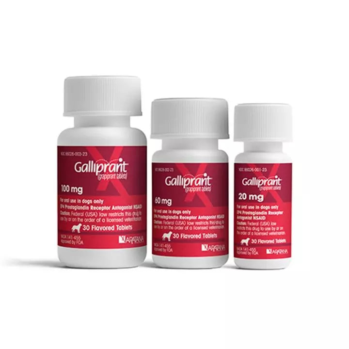 Galliprant Tablets for Dogs