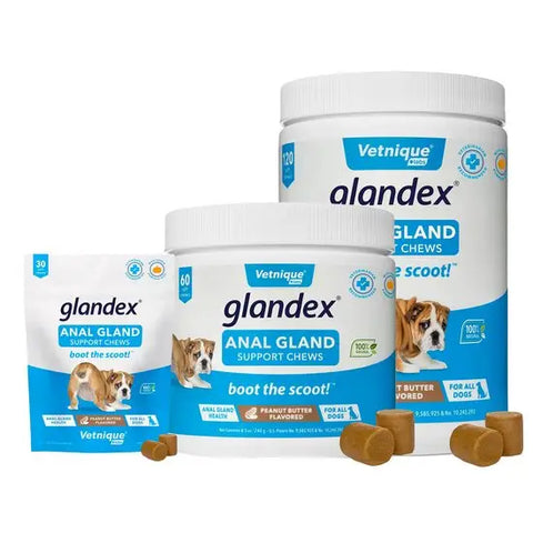 Glandex® Anal Gland Support Peanut Butter Soft Chews for Dogs