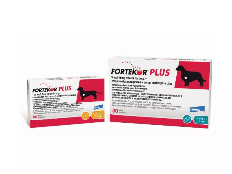 Fortekor Plus – VetMedi.co.uk