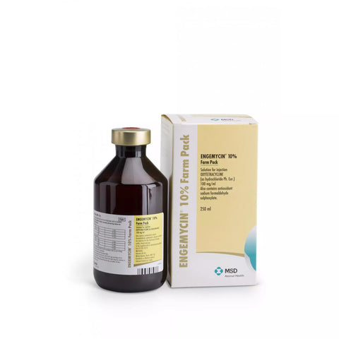 Engemycin 10% (DD) Injection
